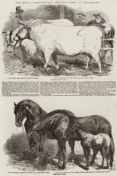 The Royal Agricultural Society